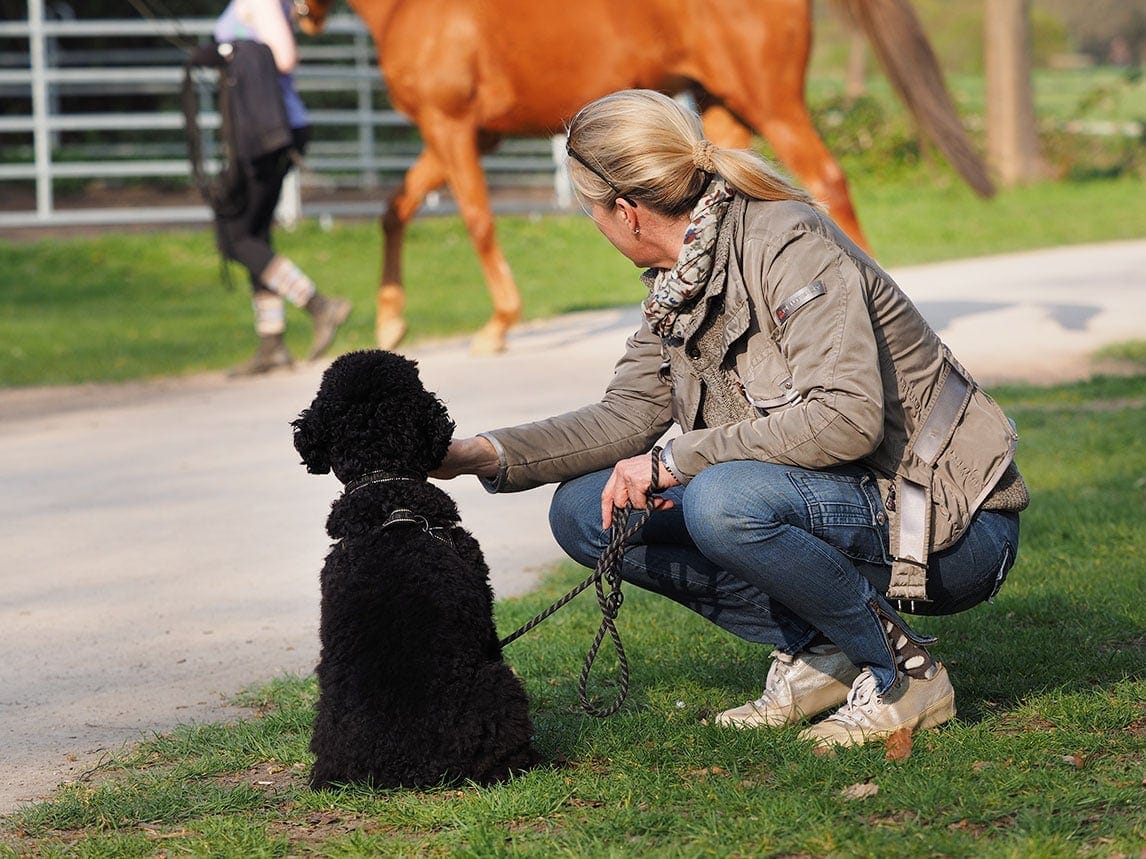 Hundeschule Bruns - Foto: Anett Seidensticker