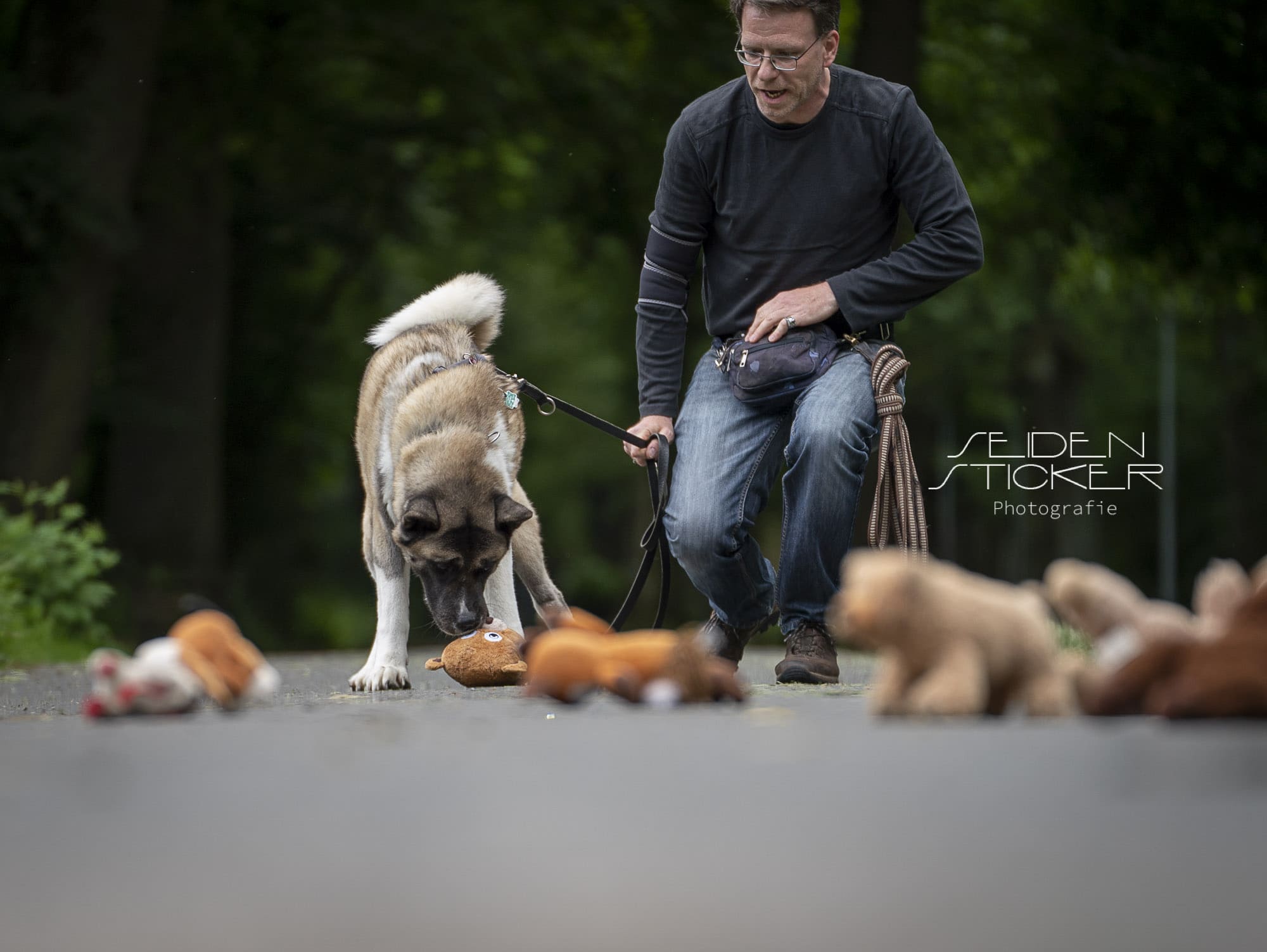 Seidensticker HundeFotografie - Hundeschule Bruns, Hannover