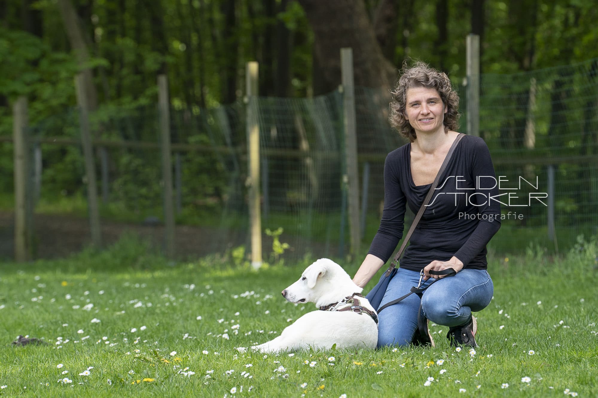 Anett Seidensticker Fotografie Hannover - Hundeschule Dr. Sandra Bruns
