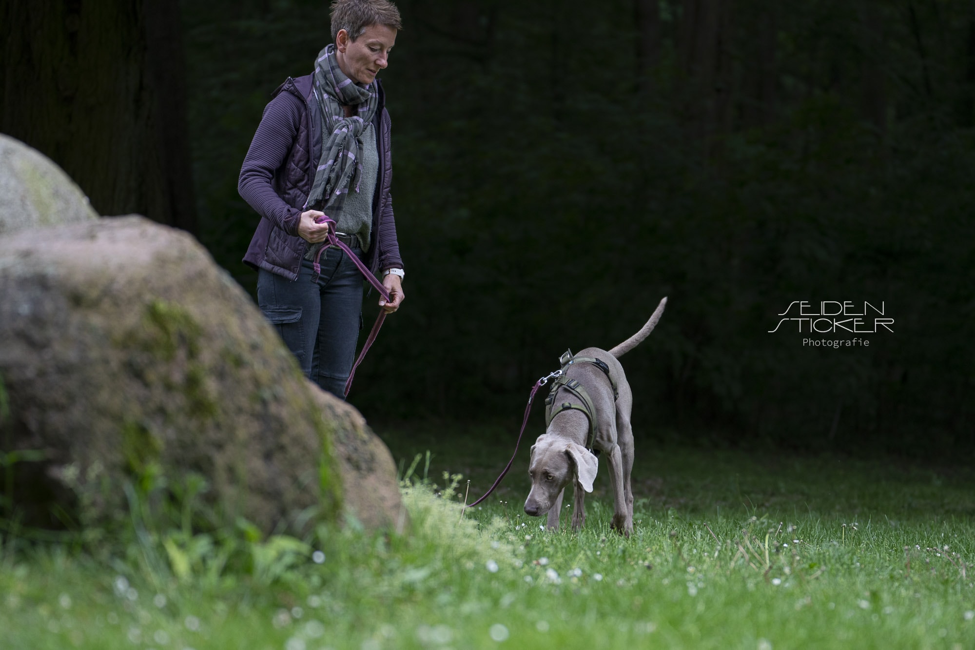 Anett Seidensticker Fotografie Hannover | Hundeschule Dr. Sandra Bruns