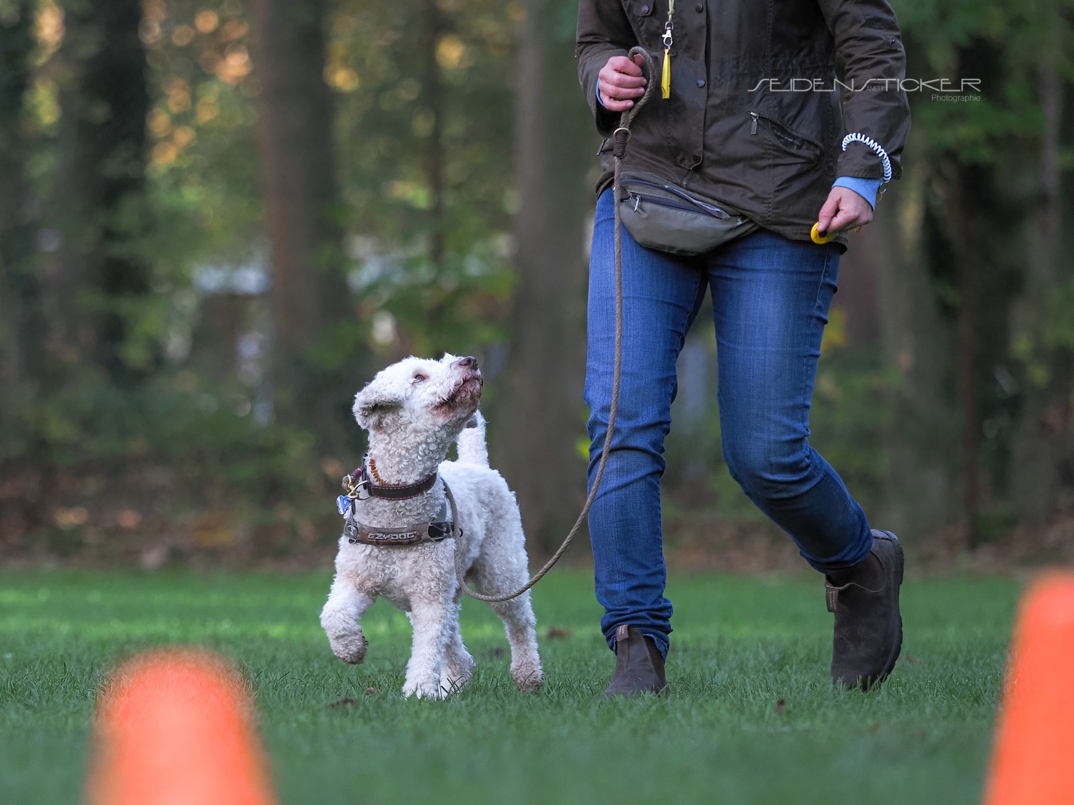 Hundeschule Bruns