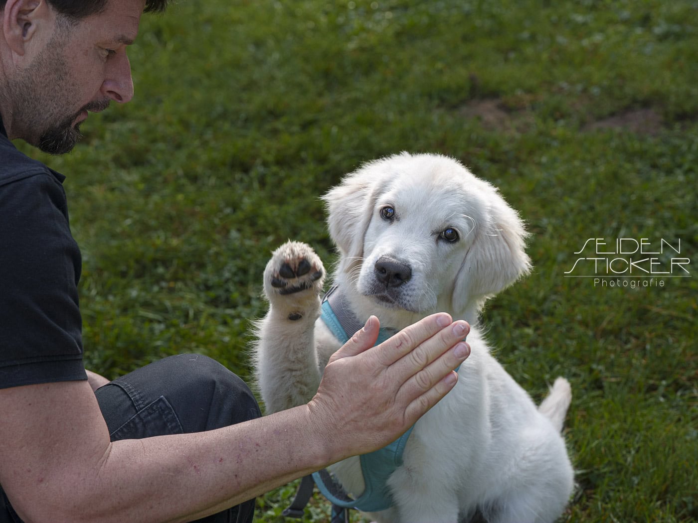 Anett Seidensticker Fotografie Hannover - Hundeschule Bruns