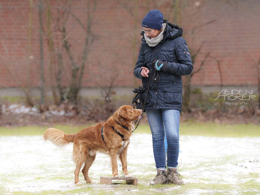 Seidensticker-Hunde als Helfer-2026-52 Anett Seidensticker Fotografie Hannover - Hundeschule Bruns