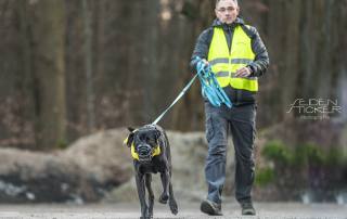 https://training-fuer-hundebesitzer.de/fotos-mantrailing-maerz-2026/