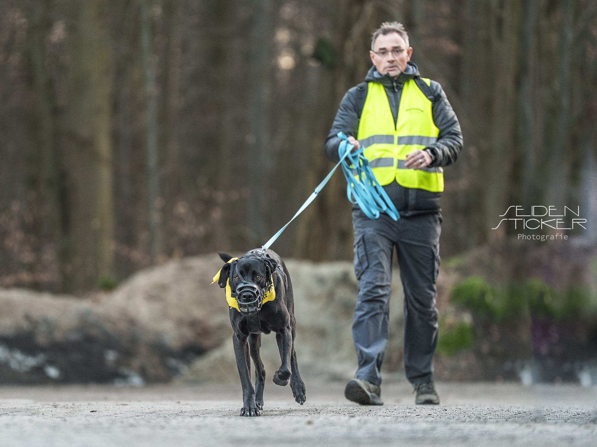 https://training-fuer-hundebesitzer.de/fotos-mantrailing-maerz-2026/
