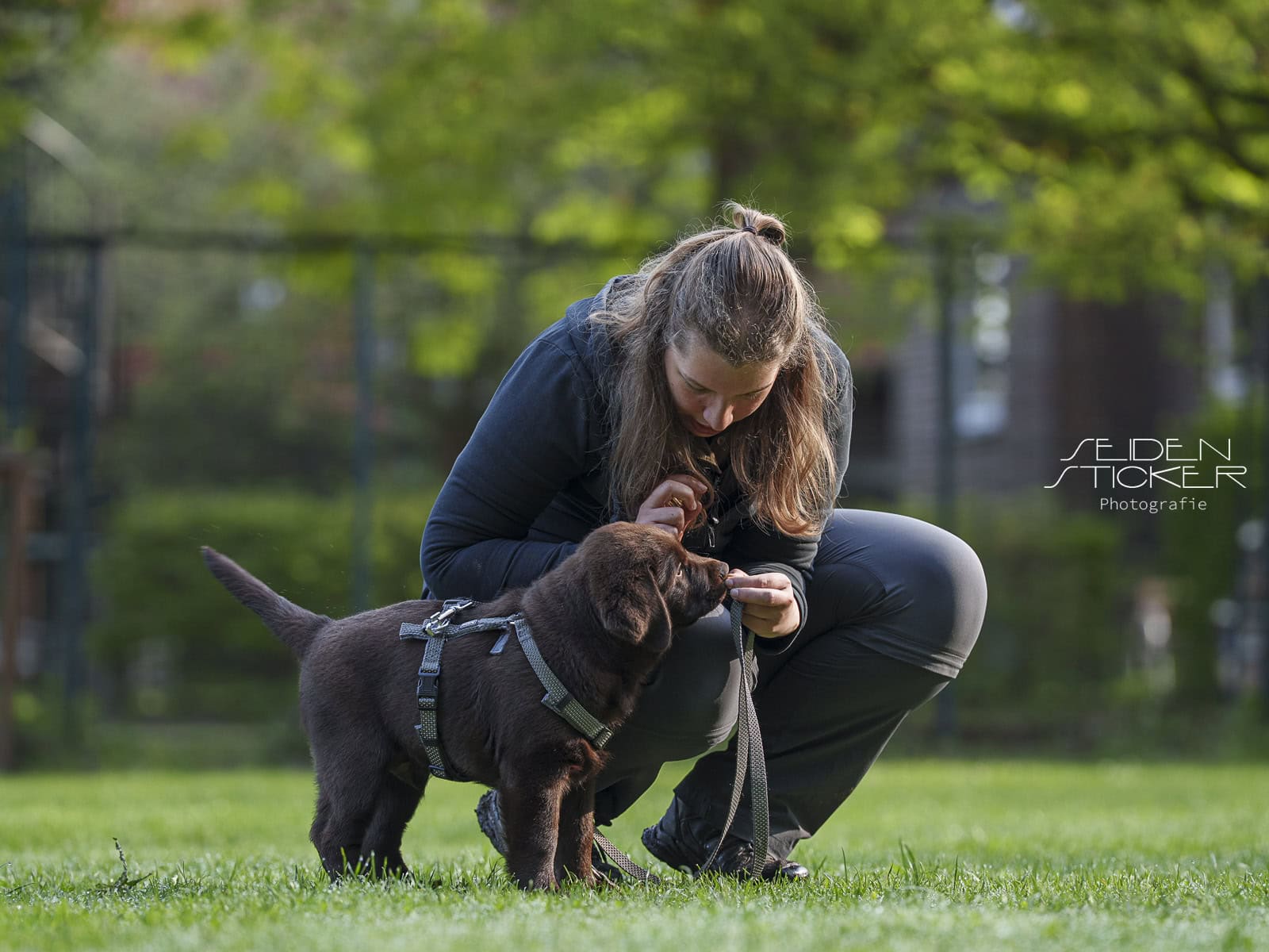 Anett Seidensticker Fotografie Hannover - Hundeschule Bruns