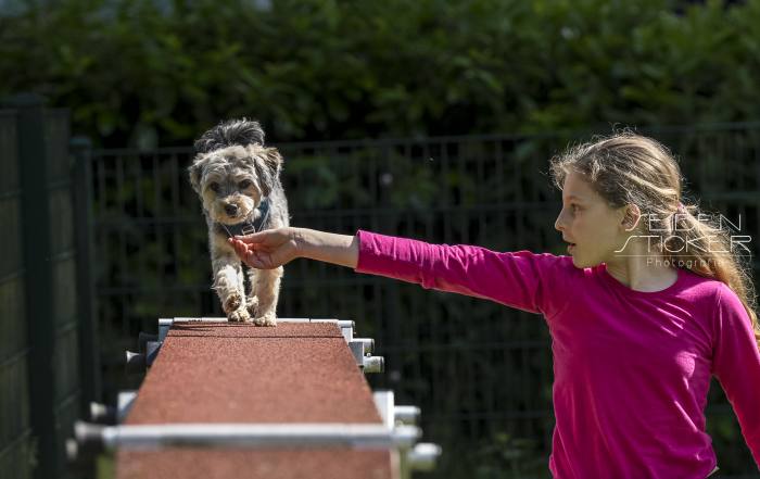 Anett Seidensticker Fotografie Hannover - Hundeschule Bruns