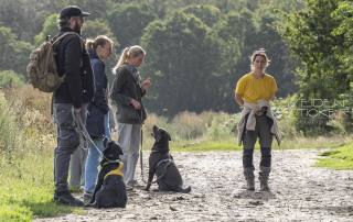 Anett Seidensticker Fotografie Hannover - Hundeschule Bruns - professionelle Hundefotografie