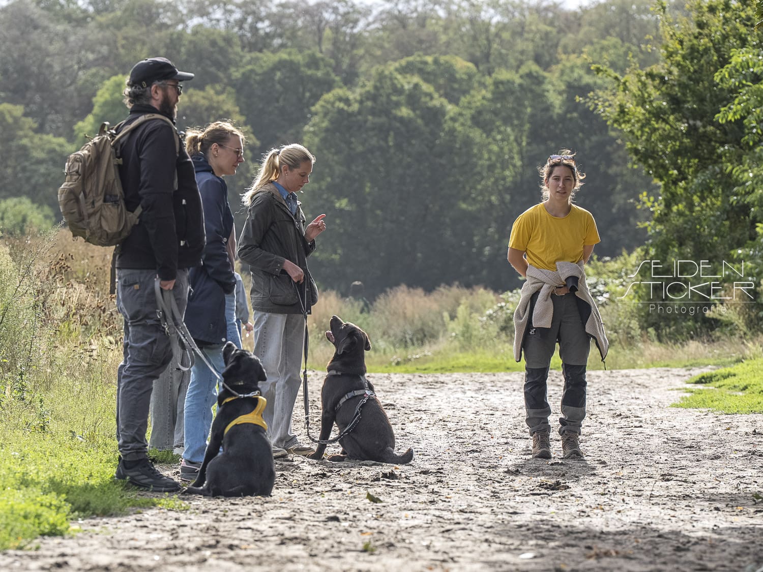 Anett Seidensticker Fotografie Hannover - Hundeschule Bruns - professionelle Hundefotografie